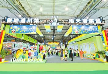 推動川油飄香四海  “天府菜油”引領四川糧油產(chǎn)業(yè)加速崛起