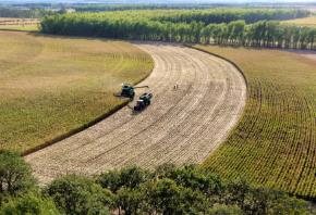 希望的田野 豐收的禮贊——寫(xiě)在第八個(gè)“中國(guó)農(nóng)民豐收節(jié)”