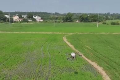 機(jī)械滿(mǎn)田飛！“最酷新農(nóng)人”玩轉(zhuǎn)新農(nóng)具 “云端運(yùn)輸”成秋收標(biāo)配“小助手”