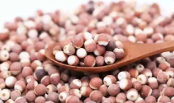 用好水資源 延伸產(chǎn)業(yè)鏈 黑龍江賓縣“小芡實(shí)”結(jié)出“黃金果”