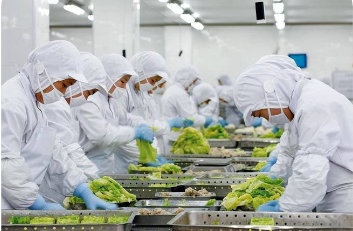 政策定調(diào) 標(biāo)準(zhǔn)護(hù)航 認(rèn)識(shí)提升  預(yù)制菜產(chǎn)業(yè)高質(zhì)量發(fā)展當(dāng)跨“三重門”