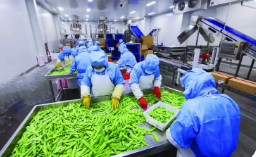 因地制宜 各展所長 黑龍江農(nóng)業(yè)產(chǎn)業(yè)發(fā)展活力強(qiáng)勢頭旺