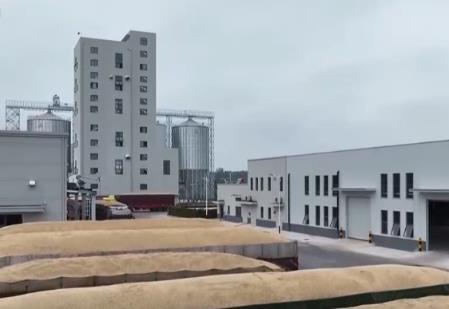 “沃野糧倉”科技大顯身手 金秋多彩“豐”景有“智”又有“質(zhì)”