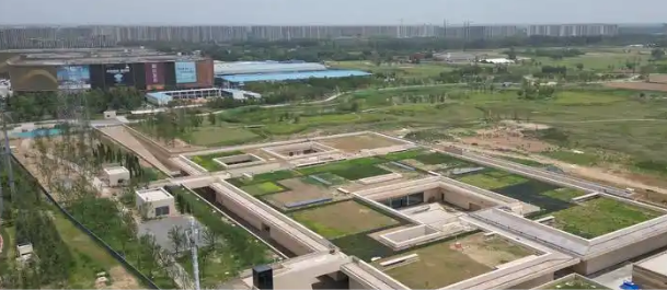 我國將科學(xué)編制