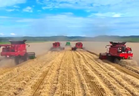 飯碗端得更牢 我國糧食供給保障能力持續(xù)增強(qiáng)