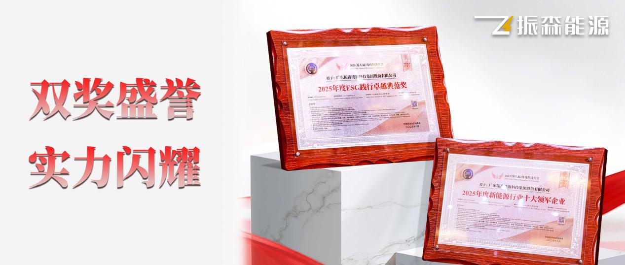 振森能源榮膺“十大領(lǐng)軍企業(yè)”與“ESG踐行卓越典范獎(jiǎng)”！