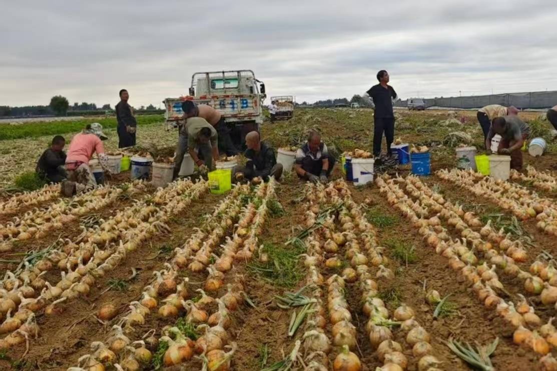 開辟連鎖超市助農(nóng)“新范式”，家家悅與農(nóng)戶實(shí)現(xiàn)雙向奔赴