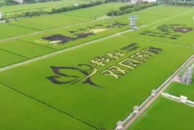 “豐收消費(fèi)”打造農(nóng)文旅融合新場景、新業(yè)態(tài) 打開田間地頭增收新空間