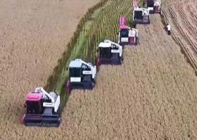 一大批農(nóng)產(chǎn)品正走向你的餐桌！全國秋糧收獲近四成