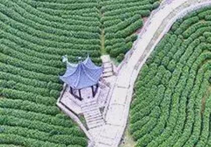 創(chuàng)意賦能玩法出新 長(zhǎng)三角鄉(xiāng)村游如何“熱”起來(lái)？