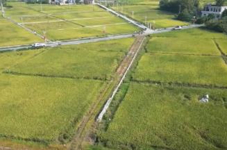 稻菽飄香、果實(shí)累累 希望的田野上唱響金秋豐收“歡歌”