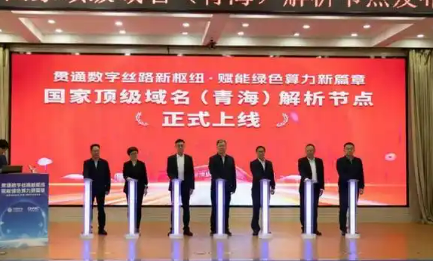 國(guó)家頂級(jí)域名（青海）解析節(jié)點(diǎn)上線