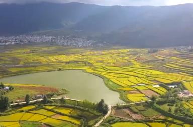 農(nóng)文旅添彩鄉(xiāng)村好“豐”光 秋收景象成為吸引游客的“流量密碼”