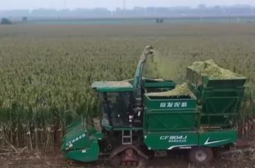 空中“奇兵”+裝備“上新”+金融“幫扶” 多地出實(shí)招保障秋糧收獲