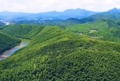 青山成了“金山”！我國(guó)林草產(chǎn)業(yè)年產(chǎn)值突破10萬(wàn)億元