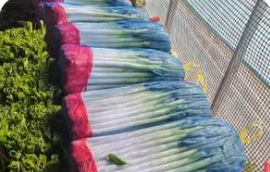 小縣城如何變身“世界菜籃子”——來自山東濰坊安丘市的調(diào)查