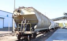 北糧南運(yùn)迎高峰 鐵路部門開行首趟糧食專列