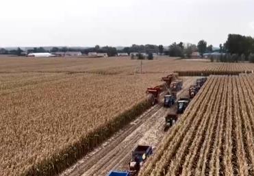 豐收在望！“科技當(dāng)家”玉米產(chǎn)量穩(wěn)步攀升 “梨樹模式”讓黑土地?zé)òl(fā)生機(jī)