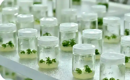 我國化妝品原料創(chuàng)新邁入多維賦能新階段