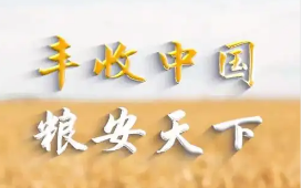 為糧安天下注入中國(guó)智慧