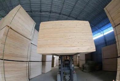 廣西融安發(fā)布19項(xiàng)團(tuán)體標(biāo)準(zhǔn)護(hù)航“中國香杉板材之鄉(xiāng)”產(chǎn)業(yè)升級(jí)