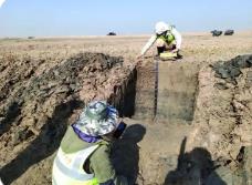 廣東省大力加強(qiáng)專(zhuān)家技術(shù)指導(dǎo) 護(hù)航提高普查成果質(zhì)量