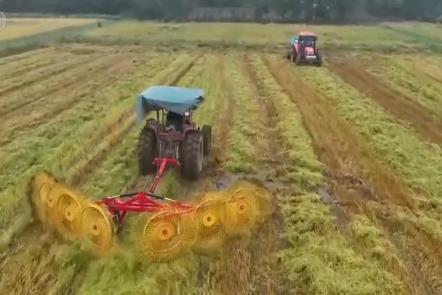 金秋十月“豐”景如畫？ 機械化提質(zhì)增效奏響現(xiàn)代農(nóng)業(yè)“奮進曲”