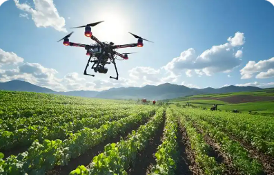 機(jī)器人采摘無人機(jī)運(yùn)送 科技繪就農(nóng)業(yè)豐收新圖景