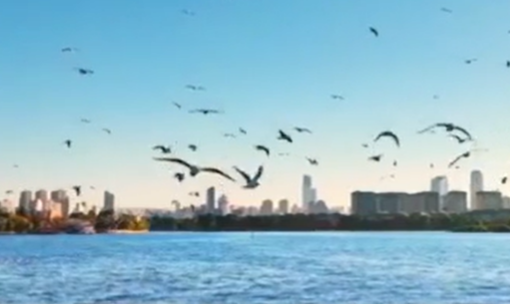 “十四五”我國水利建設(shè)實(shí)現(xiàn)跨越式發(fā)展