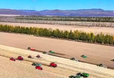 我國農(nóng)業(yè)農(nóng)村現(xiàn)代化邁出堅實步伐