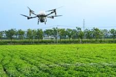 風雨之下穩(wěn)糧倉——河南農業(yè)生產的“韌性密碼”