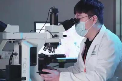 癌癥病理基因大模型DeepGEM落地