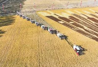 黑龍江省農(nóng)作物耕種收綜合機(jī)械化率持續(xù)保持在99%以上 多年穩(wěn)居全國(guó)首位