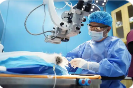 供需失衡、標(biāo)準(zhǔn)不一、監(jiān)管滯后：寵物醫(yī)療市場亟待規(guī)范