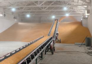 從“賣糧愁”到“放心收” 山西撥云見日穩(wěn)秋實(shí)