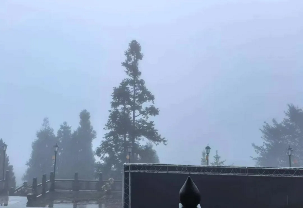 從斯里蘭卡到青城山：羊爸爸松果公益在雨霧中為身心“松綁”