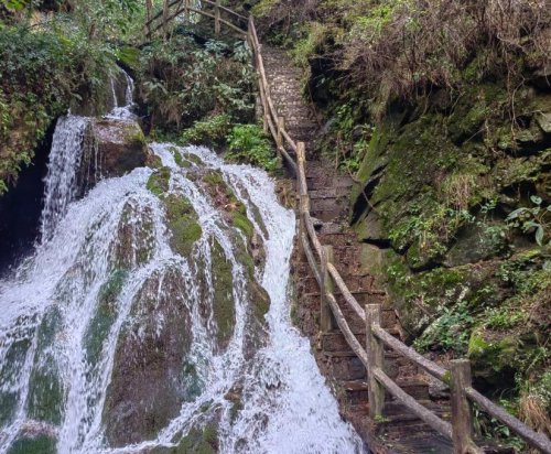 向山野，討一劑能量