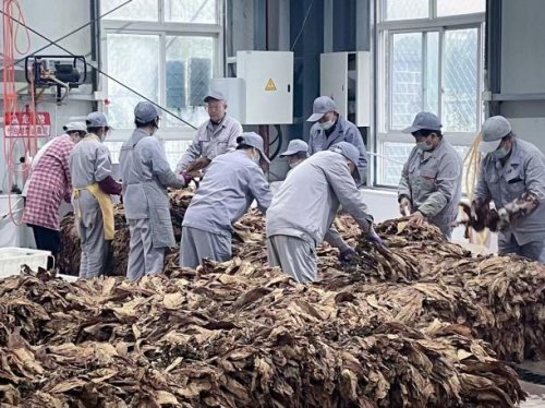 煙田踐初心 淬煉促成長——武漢市東西湖區(qū)吳家山管理所（市場部）新員工赴十堰跟班鍛煉心得