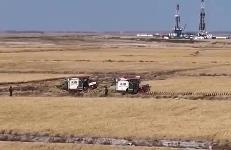 積極應(yīng)對陰雨天氣影響，山西全力保障秋糧收購有序進(jìn)行