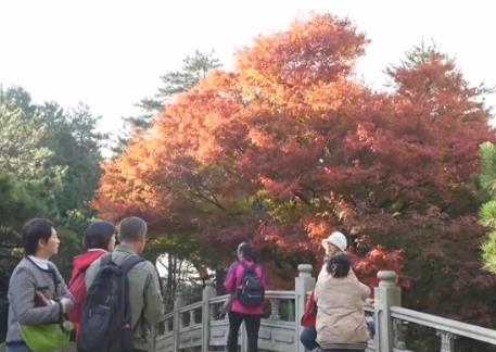 金秋時節(jié)“邂逅”絕美自然畫卷 以“景”為媒打造文旅消費盛宴