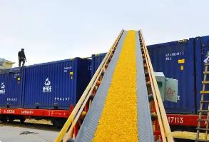 決勝“最后一公里” 構(gòu)建糧食外運新通道