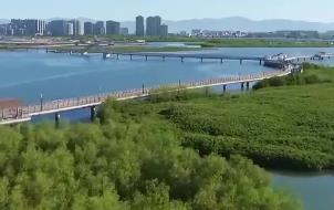 打造從山頂?shù)胶Ｑ蟮纳鷳B(tài)保護修復(fù)示范區(qū)  廈門發(fā)布生態(tài)保護修復(fù)三年行動規(guī)劃