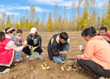 撿土豆 賞美景 內(nèi)蒙古旅游樂趣多