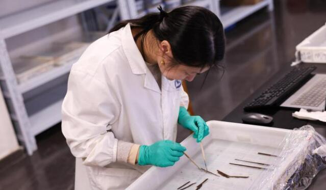 ?；韬钅箍脊虐l(fā)掘領(lǐng)隊(duì)：首次發(fā)現(xiàn)秦漢時(shí)期全本《詩(shī)經(jīng)》