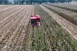 秋澇影響黃淮地區(qū)秋收秋播 學(xué)者呼吁升級(jí)基礎(chǔ)能力