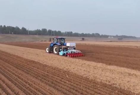 截至11月10日，全國(guó)冬小麥播種近七成