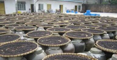 廣東運用金融工具賦能地理標(biāo)志產(chǎn)業(yè)發(fā)展