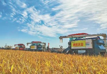 “中國富硒稻米之鄉(xiāng)”方正激活農(nóng)業(yè)新動能