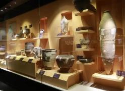 走進藏在高校里的博物館