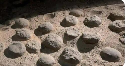 湖北十堰：近萬(wàn)枚恐龍蛋化石有了“身份證ID”